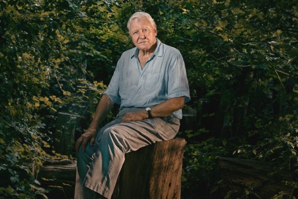 Sir David Attenborough Becomes New Oldest Daytime Emmys Winner Ever at 99, Beating Previous Record Holder Dick Van Dyke