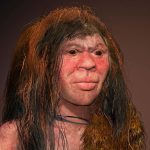 Denisovans may have interbred with mysterious group of ancient humans Denisovans may have interbred with mysterious group of ancient humans