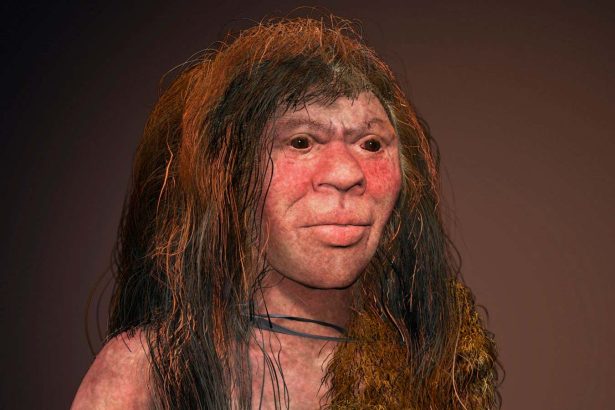 Denisovans may have interbred with mysterious group of ancient humans