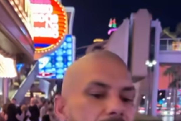 Did Pauly D Shave His Head? Jersey Shore Star Shares Video of Buzzcut