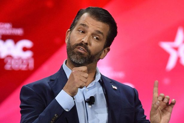 Donald Trump Jr. Fuels Wild Social Media Conspiracy About His Tweets