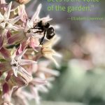 Earth911 Inspiration: The Hum of Bees
