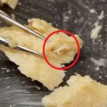 Expired Cans of Salmon, Decades Old, Preserve a Huge Surprise : ScienceAlert Expired Cans of Salmon, Decades Old, Preserve a Huge Surprise : ScienceAlert