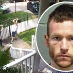 Burglar beaten by frying pan-wielding homeowner is heading to prison – CWB Chicago