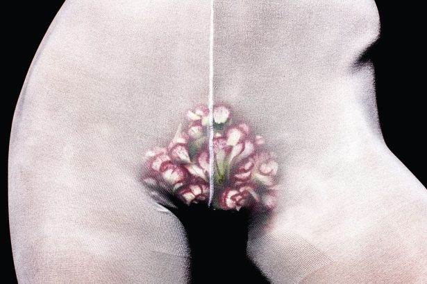 The Bush Is Back in 2025