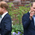 Was Eugene Levy Allowed to Ask Prince William About Harry?