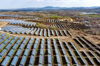 As Trump champions fossil fuels, the world is betting on renewable energy