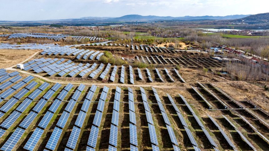 As Trump champions fossil fuels, the world is betting on renewable energy