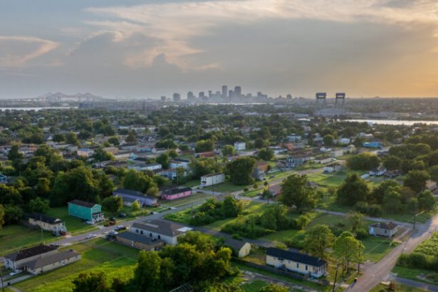 STAT+: As NIH launches new autism research effort, the focus is on environmental factors