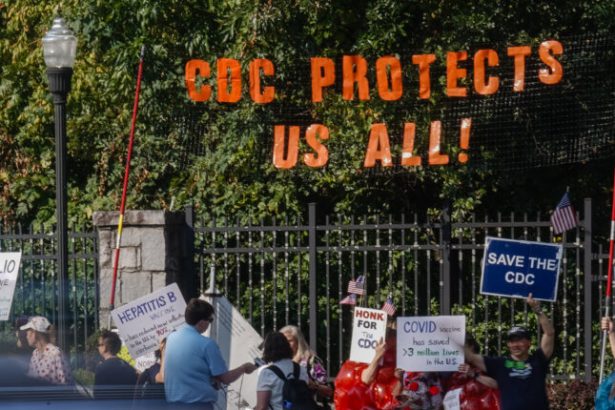 ‘It’s a massacre’: CDC battered by government shutdown firings