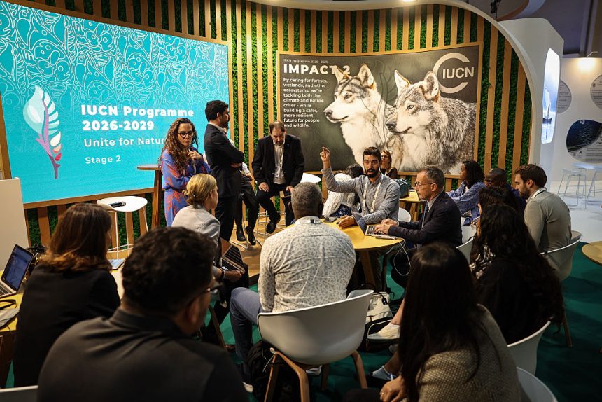 Global conservation body backs genetically modified wildlife over Indigenous opposition