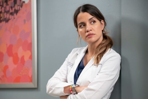 ‘Grey’s Anatomy’ Boss on the Season 22 Premiere, How Often Ellen Pompeo Will Be On and Killing [SPOILER] After That OR Explosion