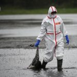 H9N2 Bird Flu Virus Could Pose Human Pandemic Risk, Experts Warn H9N2 Bird Flu Virus Could Pose Human Pandemic Risk, Experts Warn