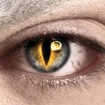 Halloween Contact Lenses Can Cause Serious Harm to Your Eyes : ScienceAlert Halloween Contact Lenses Can Cause Serious Harm to Your Eyes : ScienceAlert