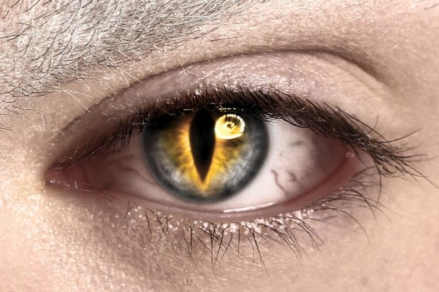 Halloween Contact Lenses Can Cause Serious Harm to Your Eyes : ScienceAlert