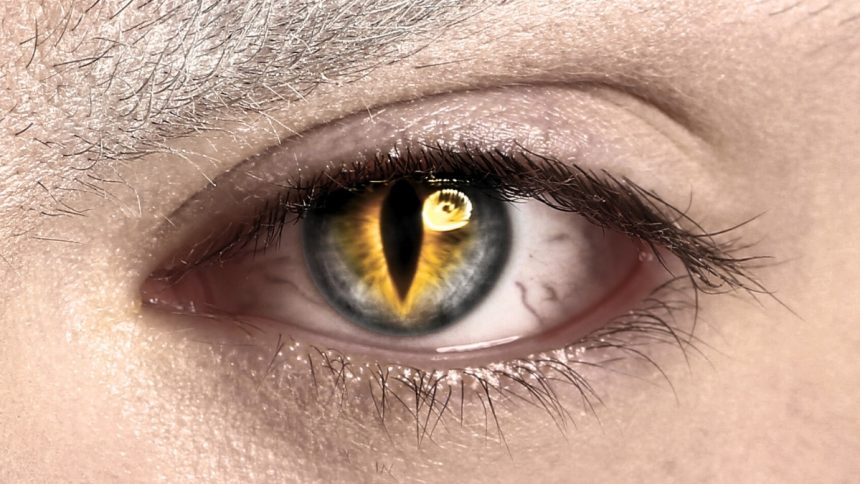 Halloween Contact Lenses Can Cause Serious Harm to Your Eyes : ScienceAlert Halloween Contact Lenses Can Cause Serious Harm to Your Eyes : ScienceAlert