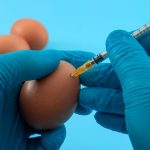 How Are Annual Flu Vaccines Made? How Are Annual Flu Vaccines Made?