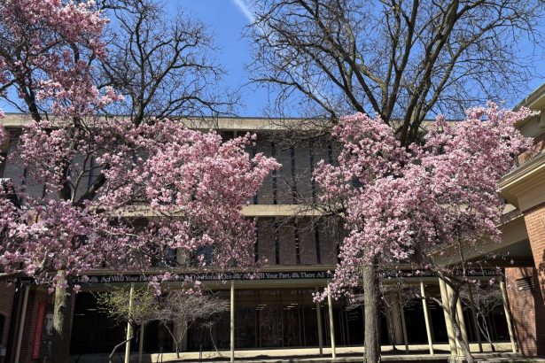 How to Protect Your Right to Culture