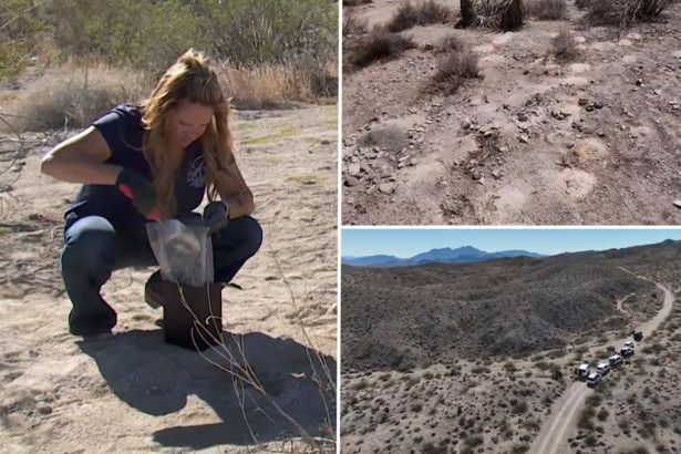 Hundreds of cremated human remains discovered, recovered from Nevada desert