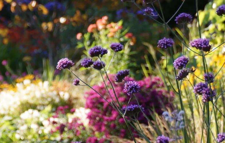 Hurunui community rallies to recover for garden festival Hurunui community rallies to recover for garden festival