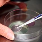 IVF research, FDA vouchers, dementia: Morning Rounds IVF research, FDA vouchers, dementia: Morning Rounds