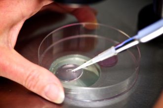 IVF research, FDA vouchers, dementia: Morning Rounds