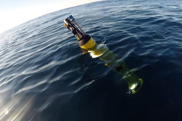 The ocean is a carbon toilet. Marine heat waves are clogging it.