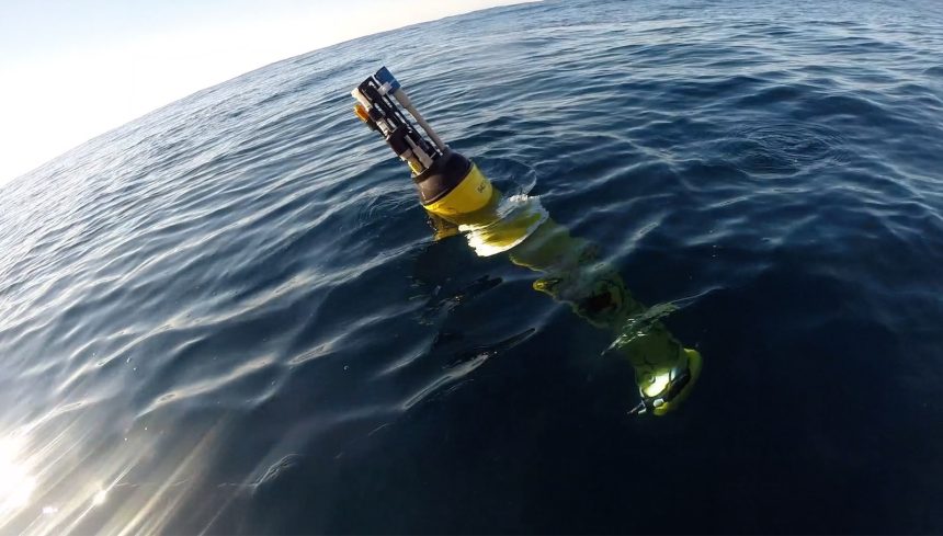 The ocean is a carbon toilet. Marine heat waves are clogging it. The ocean is a carbon toilet. Marine heat waves are clogging it.