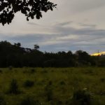 Malaria risk in the Amazon found to be higher in regions with intermediate forest degradation