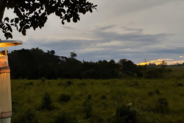 Malaria risk in the Amazon found to be higher in regions with intermediate forest degradation