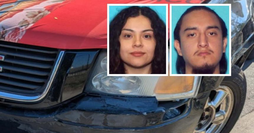 Woman shot by Border Patrol is charged with ramming federal vehicle; man also charged – CWB Chicago