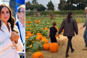 Meghan Markle Plans to Turn Archie and Lilibet Into Influencers