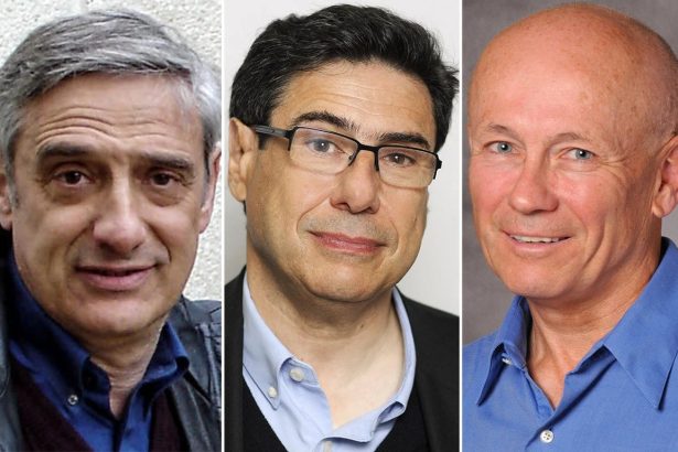 These Economists Just Won an Economics Nobel for Showing How Science Fuels Growth