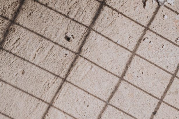 “Mtmarfga” by Ainhoa Ezkurra Cabello