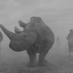 The Day May Break: Nick Brandt on Absence, Presence, and Hope