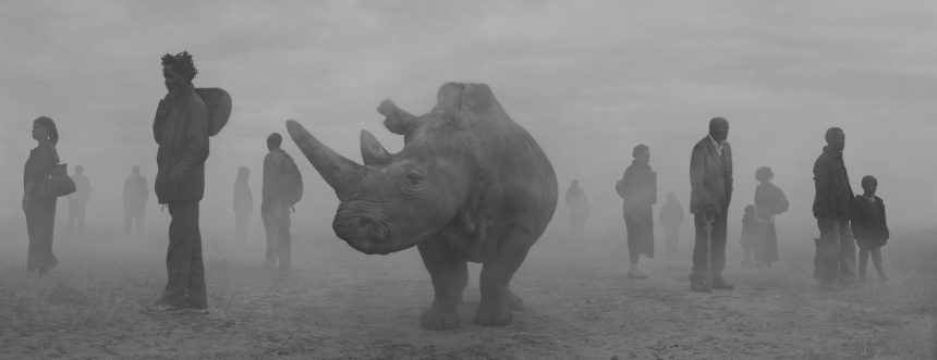 The Day May Break: Nick Brandt on Absence, Presence, and Hope
