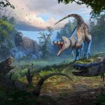 Nanotyrannus: Dinosaur skeleton settles long debate over ‘tiny T. rex’ fossils Nanotyrannus: Dinosaur skeleton settles long debate over ‘tiny T. rex’ fossils