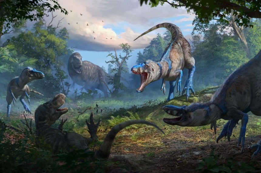Nanotyrannus: Dinosaur skeleton settles long debate over ‘tiny T. rex’ fossils Nanotyrannus: Dinosaur skeleton settles long debate over ‘tiny T. rex’ fossils