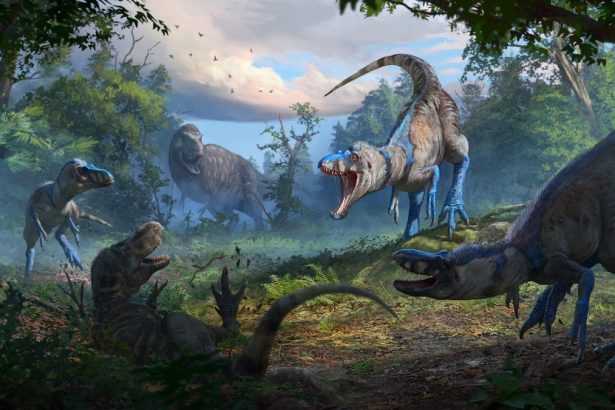 Nanotyrannus Isn’t a Juvenile T-Rex—It’s a Separate Dinosaur