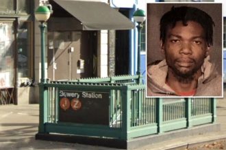 Nutjob with 86 arrests slugs stranger onto NYC subway tracks in terrifying anti-Asian spree: sources