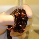 One Hand Clapping review: Provocative book sets out to solve the hard problem of consciousness One Hand Clapping review: Provocative book sets out to solve the hard problem of consciousness