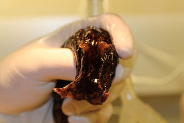 One Hand Clapping review: Provocative book sets out to solve the hard problem of consciousness