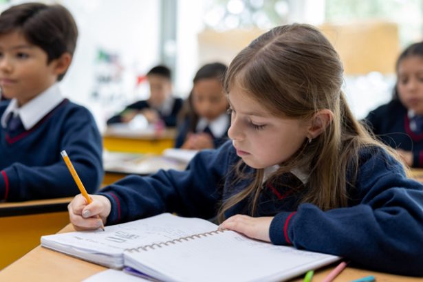 Year 8 reading test plan splits teachers and heads