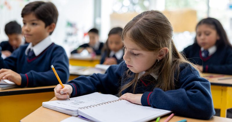Year 8 reading test plan splits teachers and heads