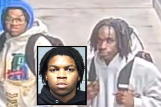DePaul student robbed, used as extortion bait on crosstown Red Line ride: prosecutors – CWB Chicago