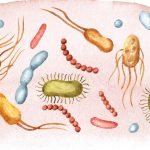 SAMHSA, Moderna, Hurricane Melissa: Morning Rounds SAMHSA, Moderna, Hurricane Melissa: Morning Rounds