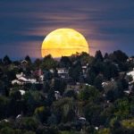 Prepare to enjoy four spectacular supermoons in a row