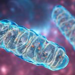 The mystery of highly reactive oxygen has finally been solved