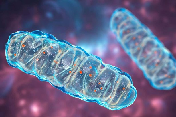 The mystery of highly reactive oxygen has finally been solved