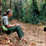 Jane Goodall, dogged advocate for the natural world, has died aged 91